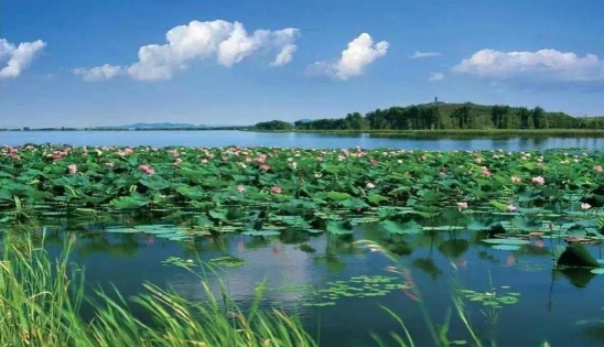 關于全面推進美麗遼寧建設的實施意見（征求意見稿）發布！